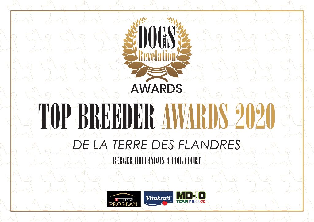 De La Terre Des Flandres - Top Breeder 2020