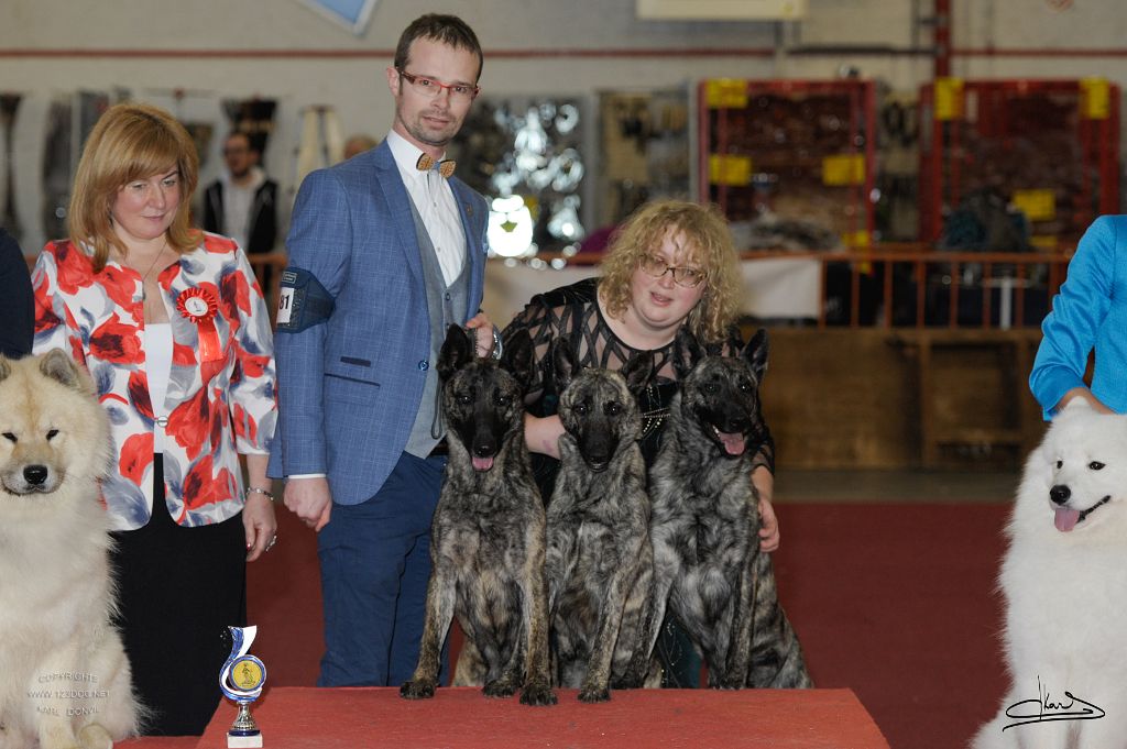 De La Terre Des Flandres - Mouscron Dog Show 2020