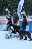  - Jumpin'Jack Flash Champion de Finlande de Ski Joering