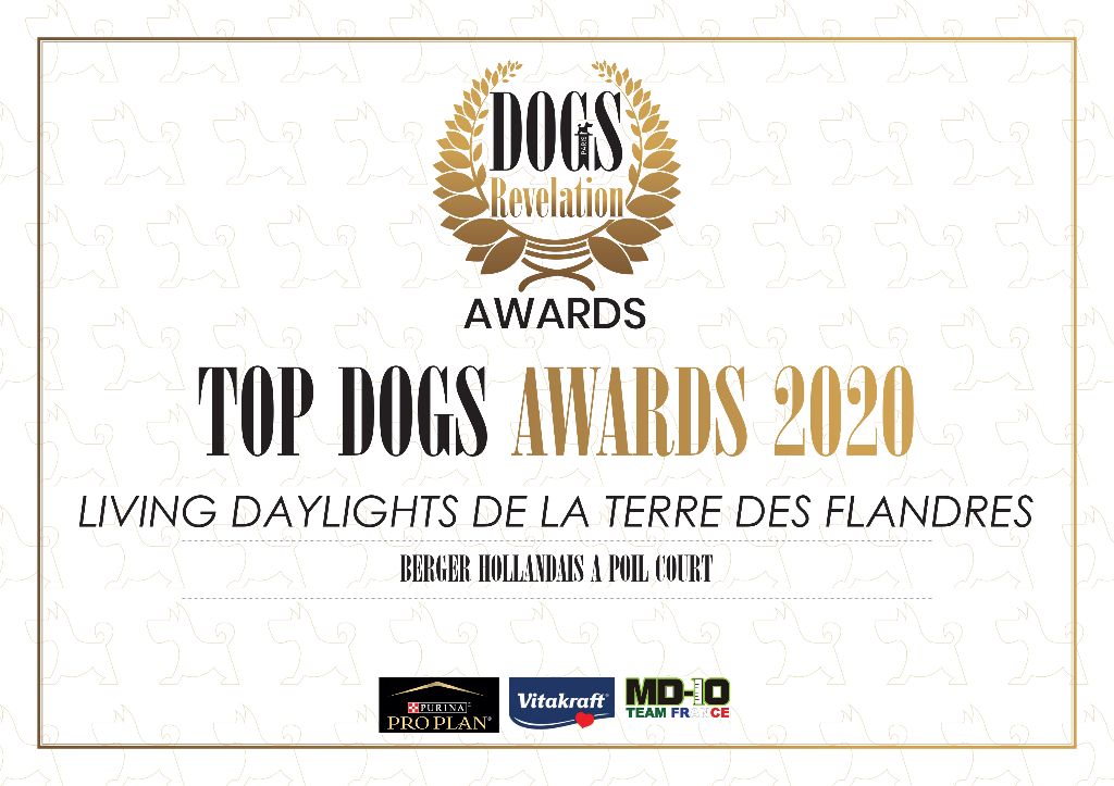 De La Terre Des Flandres - Top dog 2020