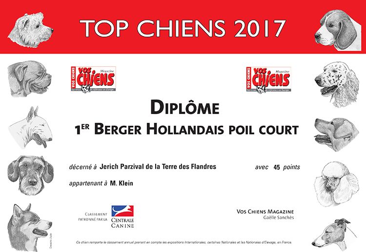 De La Terre Des Flandres - Top Chien 2017